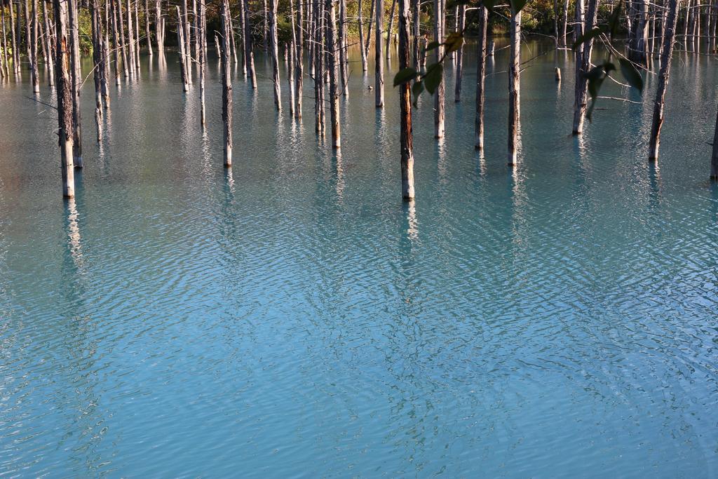碧の美ゆゆaonobi Yuyu旧湯元白金温泉ホテル Biei Εξωτερικό φωτογραφία